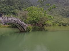 -靖西鹅泉风景区