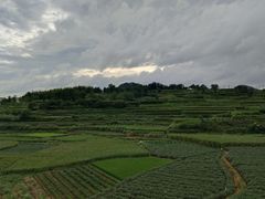 -乌石村