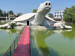 -东方巨龟苑景区