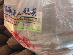 -大湾区中央湿地公园-十九涌