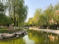 -丰台科技园生态主题公园