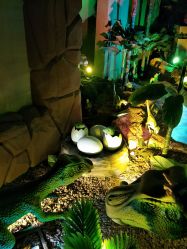 -恐龙探索乐园(磁器口店)