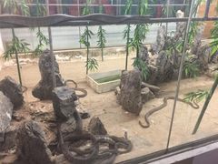 -荔城生鲜盛宴(番禺旗舰店)