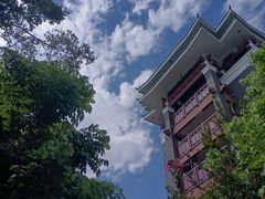 -王借岗森林公园