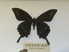 -中国湿地博物馆