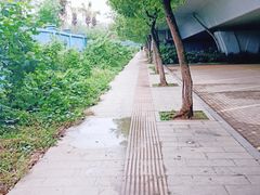 -南昌海洋公园