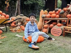 -HERRE·FARM 赫尔露营农场·团建聚会包场