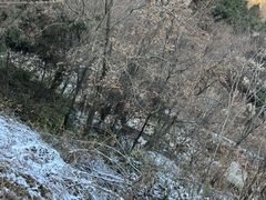 -抱龙峪