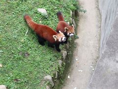 -西安秦岭野生动物园