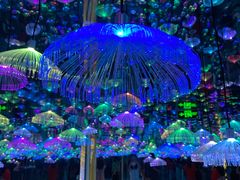 -梵高星空艺术馆(北京旗舰店)