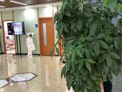 -茂菊口腔连锁(浦东南路店)