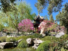 -汉庭顿图书馆
