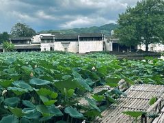 -呈坎景区