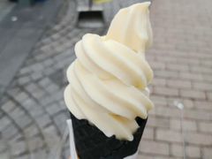 -仙境豆夫(步行街旗舰店)