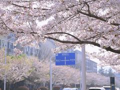 -江南大学(蠡湖校区)