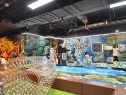 -卡通尼·Safari非洲探索乐园·生日会(金桥国际商业广场店)