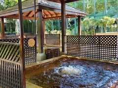 -春晖园度假酒店温泉