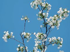 -海州湾会议中心中餐厅