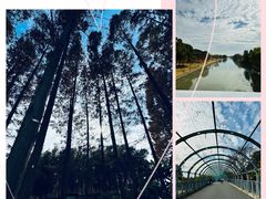 -上海辰山植物园