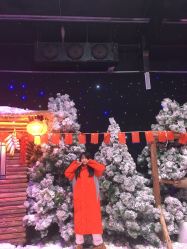 -圣名游乐城冰雪大世界
