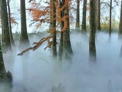 -东湖落雁景区