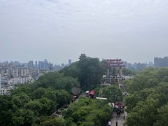 -黄鹤楼公园(黄鹤楼)