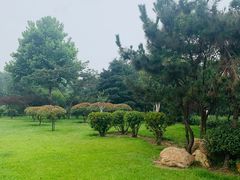 -日照灯塔风景区