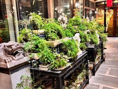 -川旺角融合菜•海景餐厅(星海广场店)