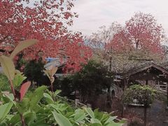 -塔川景区