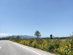 -陕西省红河谷森林公园