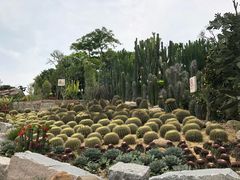 -胡里山炮台