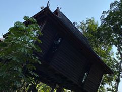 -西双版纳傣族园