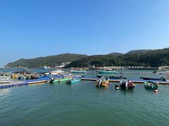 -东澳岛