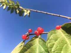 -中关村生命科学园