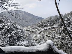 -篁岭景区