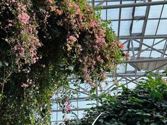 -祥源·阜阳生态乐园