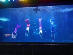 -蓬莱欧乐堡海洋极地世界