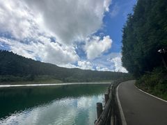 -武陵山森林公园