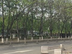 -首都医科大学附属北京地坛医院