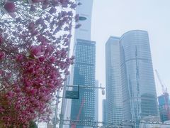 -中央广播电视总台(光华路办公区)