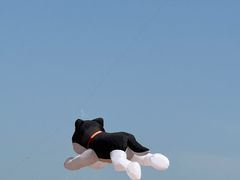 -潍坊欢乐海沙滩景区