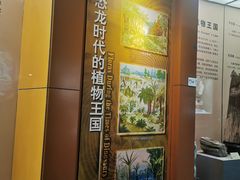 -河南自然博物馆