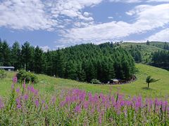 -驼梁风景区