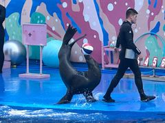 -北戴河圣蓝海洋公园