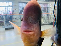 -弓舍射箭俱乐部(高新总店)