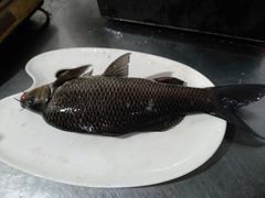 -大妙火锅·非物质文化遗产(东湖公园店)