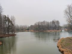 -梁鸿国家湿地公园