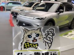-上海浦东smart汽车全功能店(金桥店)