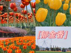 -南山风景名胜区