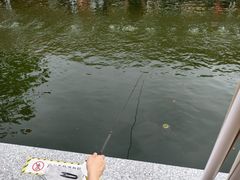 -DGE季风钓虾营地·团建·聚会